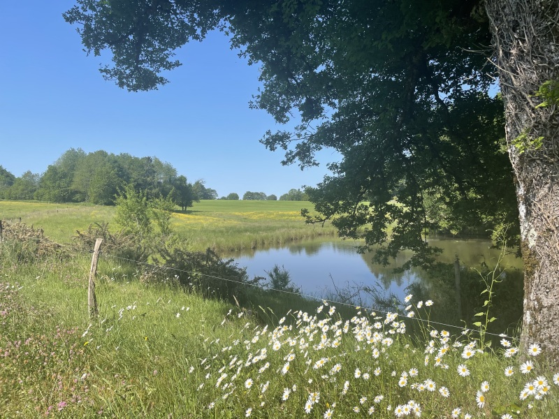 Thread 25 Starmer - Cheers for a falling out among thieves