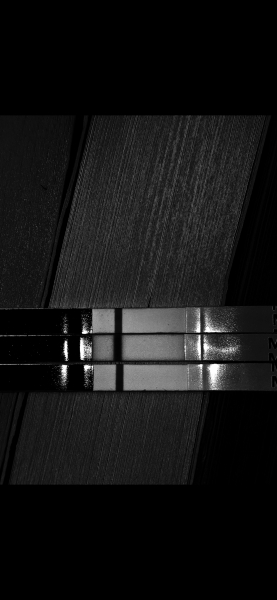 9/10 DPO...Anyone see anything?