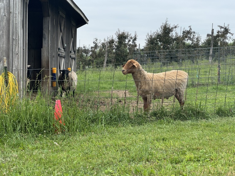 Come and tell us your dull and unexciting news 33: Calmly through the day