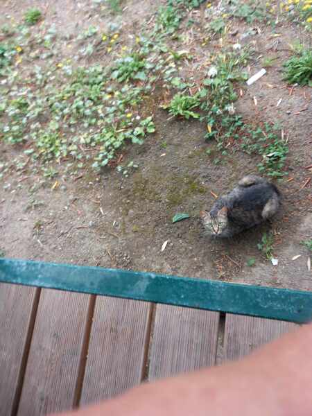 Thread 25 Starmer - Cheers for a falling out among thieves