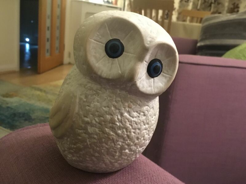 Please help me find this Owl
