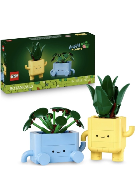 To show me your Lego collection?