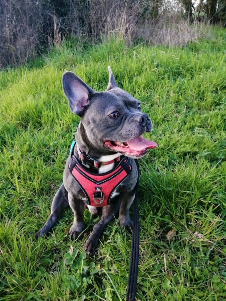 The support thread for anyone trying to live an alcohol free life. Spring 2025.