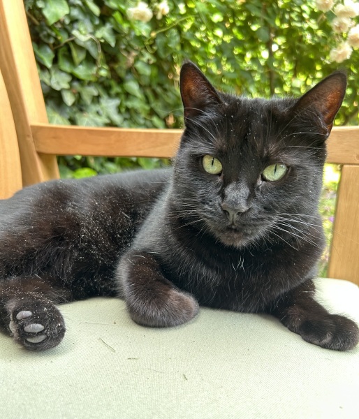 Thread 25 Starmer - Cheers for a falling out among thieves