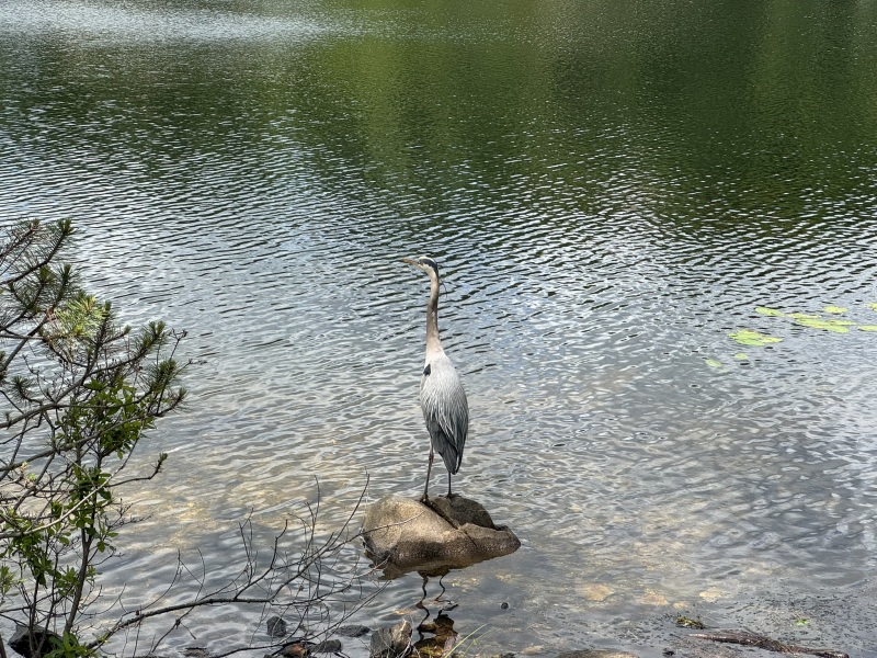 Come and tell us your dull and unexciting news 33: Calmly through the day