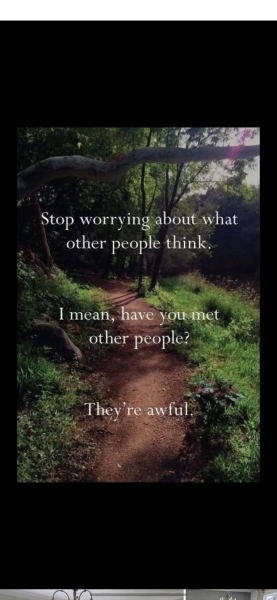 This made me howl laughing.  Anyone else heard a funny joke or seen a funny meme?