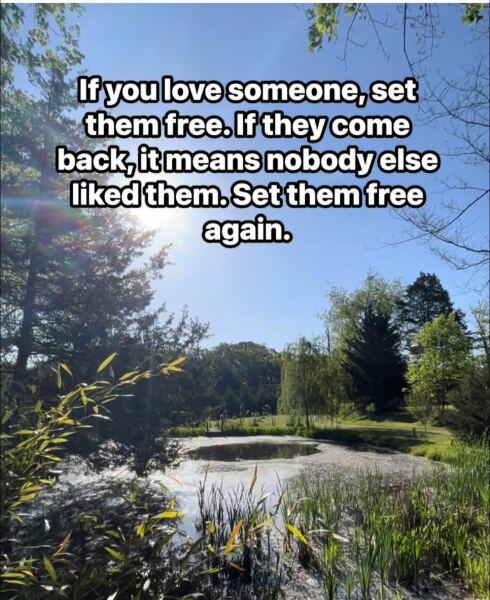 This made me howl laughing.  Anyone else heard a funny joke or seen a funny meme?