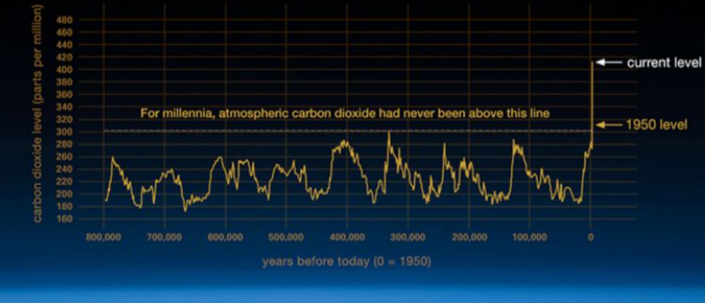 AIBU not to buy in about all of this net zero/environmentalism?