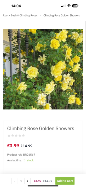 Rose talk...