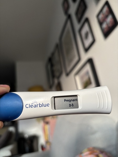 Due February 2026 ✨