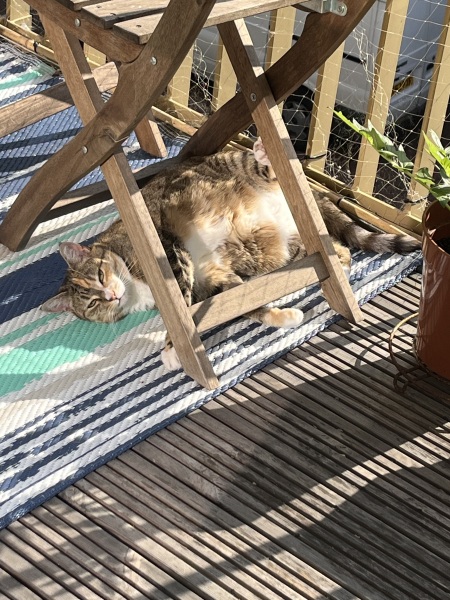 Moving to an apartment
