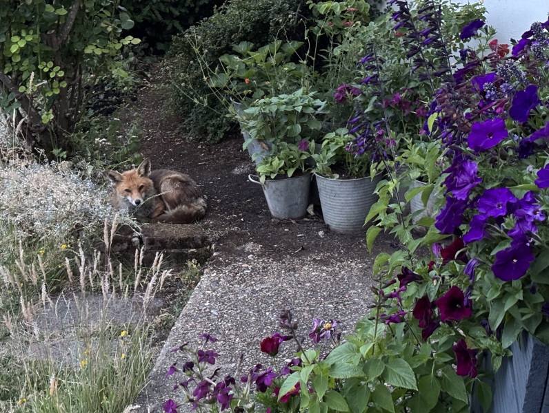 Year round Nigel Slater discussion thread Part 2