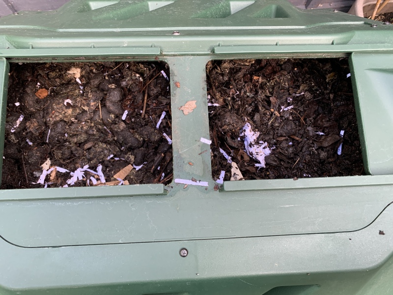 Pls give me your opinion about my compost
