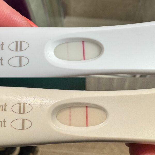 Tww June 2025🩷🩵