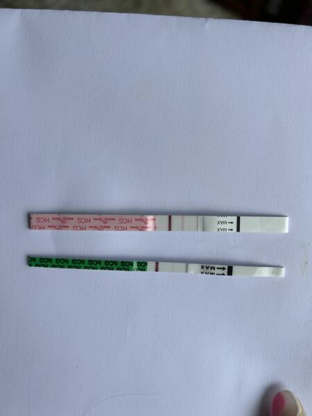 10 DPO BFP + bleeding