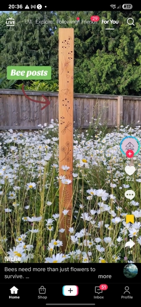 What have you done in the garden today? Part 7