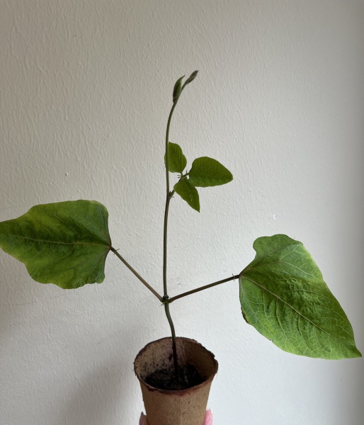 What do I do with this?