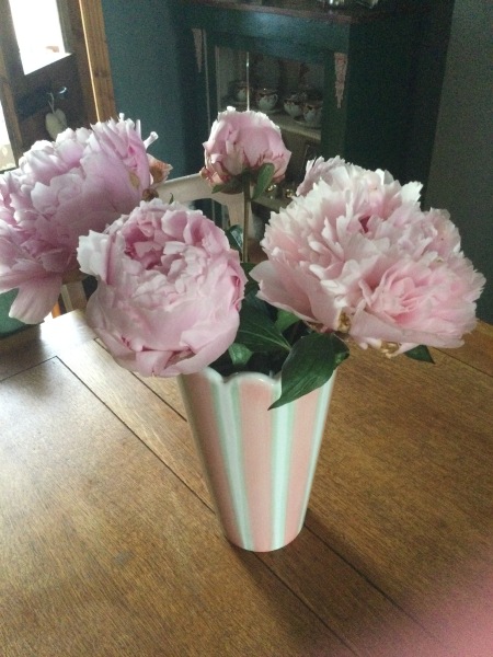 Thread 26 Starmer: Cats, Rebels and Orange Chaos