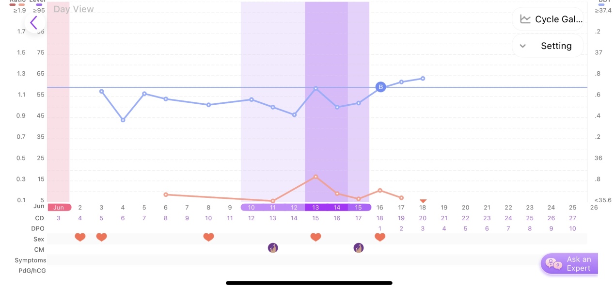 How tf do you track BBT