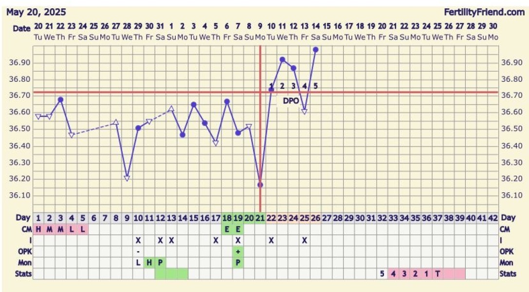 At least we avoided Christmas babies!