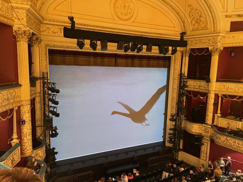 June 2025 Low Carb Bootcamp Week 1