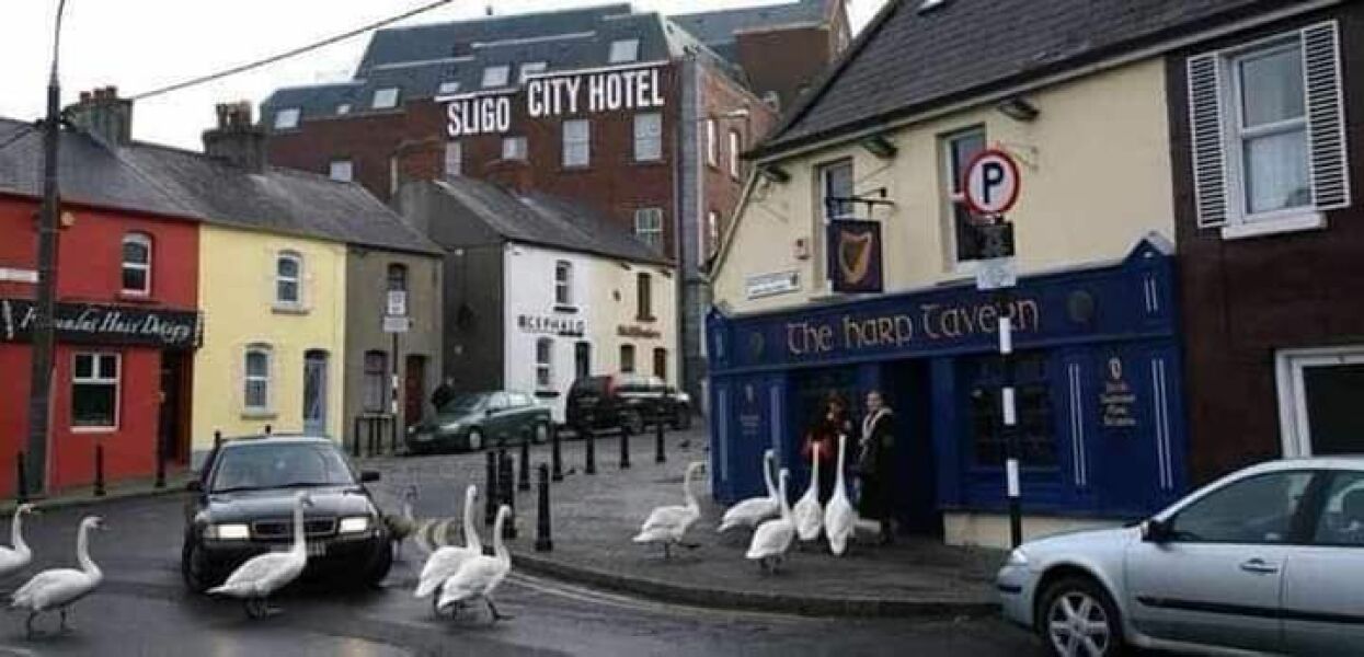 The Bluestocking Women’s Pub - Where Everybody Knows Your Username