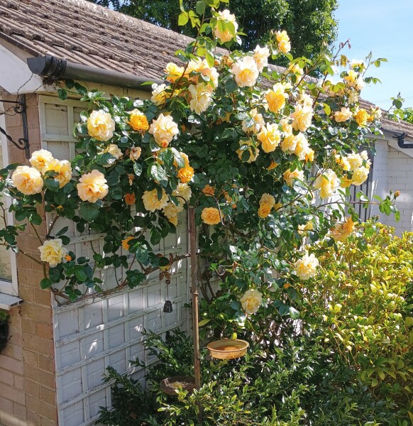Is gardening outdated