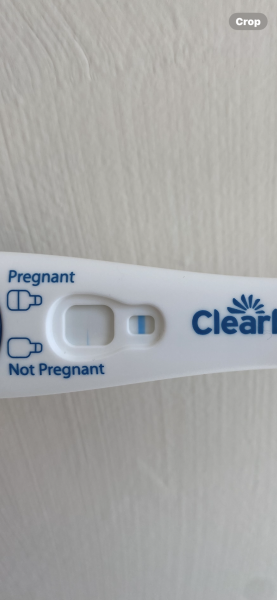 What does this line mean?