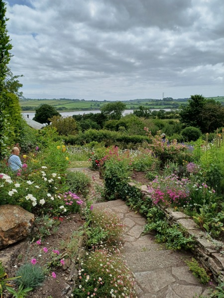 The Bluestocking Women’s Pub - The Return of Salad and the Lion