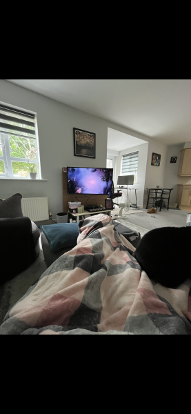 Can I see your 2025 living room photos