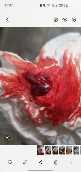 Period clotting