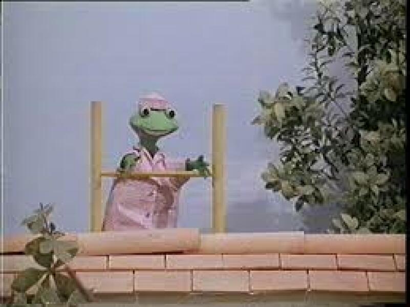 To tell my neighbour to sod off next time she comments on my garden