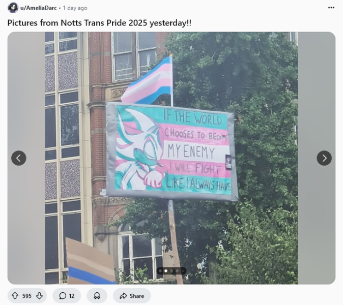 Nottingham Pride 2025 - the signs **MNHQ title tweak to point out this was the Notts Trans Pride as acknowledged in the thread**