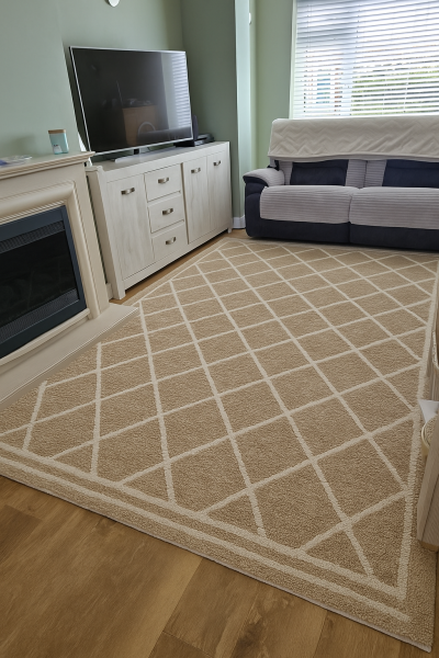Help needed with rug size/placement