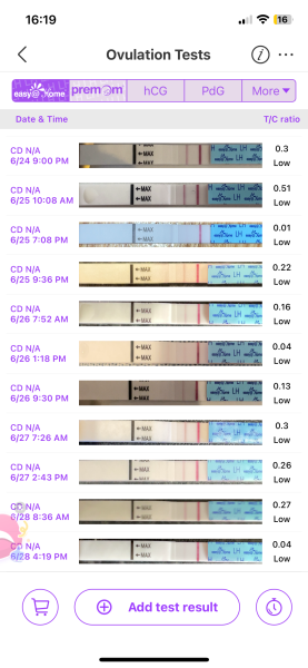 Ovulation after chemical pregnancy