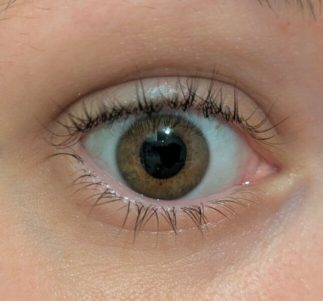 Lash Lift after 2 weeks