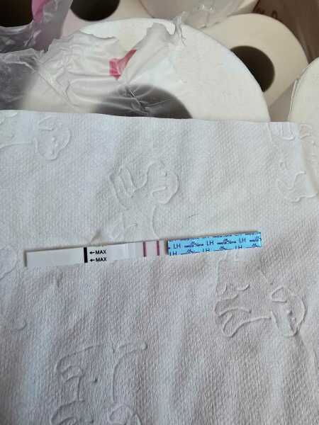 JUNE 2025 Trying To Conceive Thread