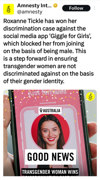 Amnesty International what has happened to you?