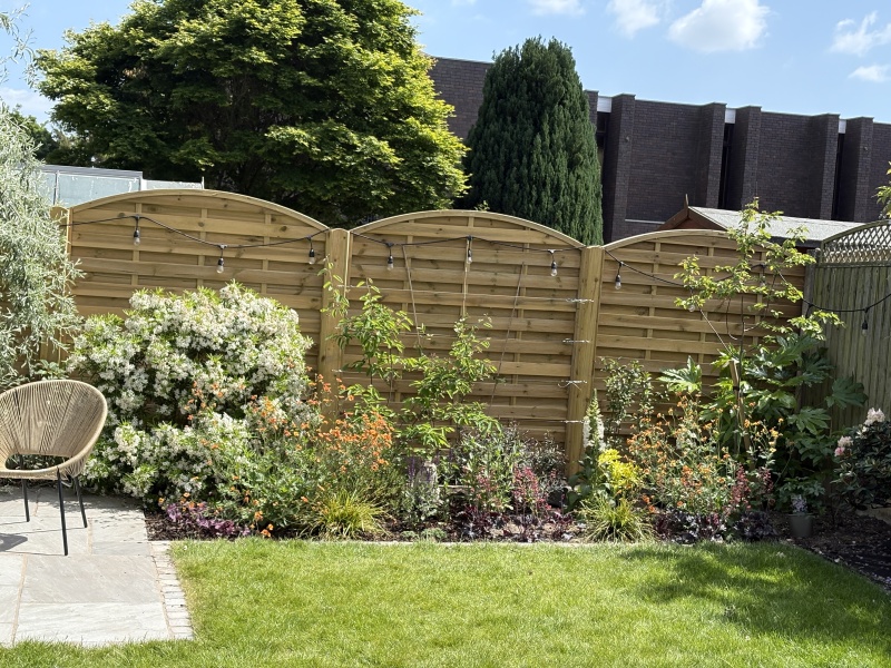 Please tell me how to arrange my border!