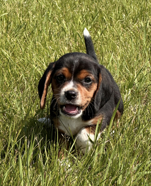 Help me name this little lady?