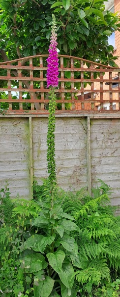 Thread 17 - TalkLair: "Okay, first of all, what's with the outfit? Live in the now, okay? You look like DeBarge."