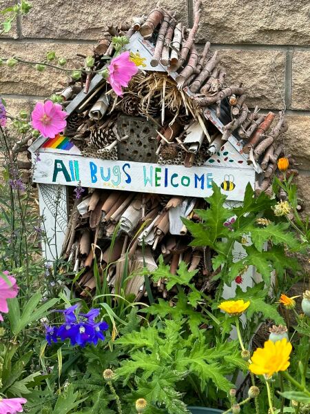Genuinely upset at this wildflower destruction