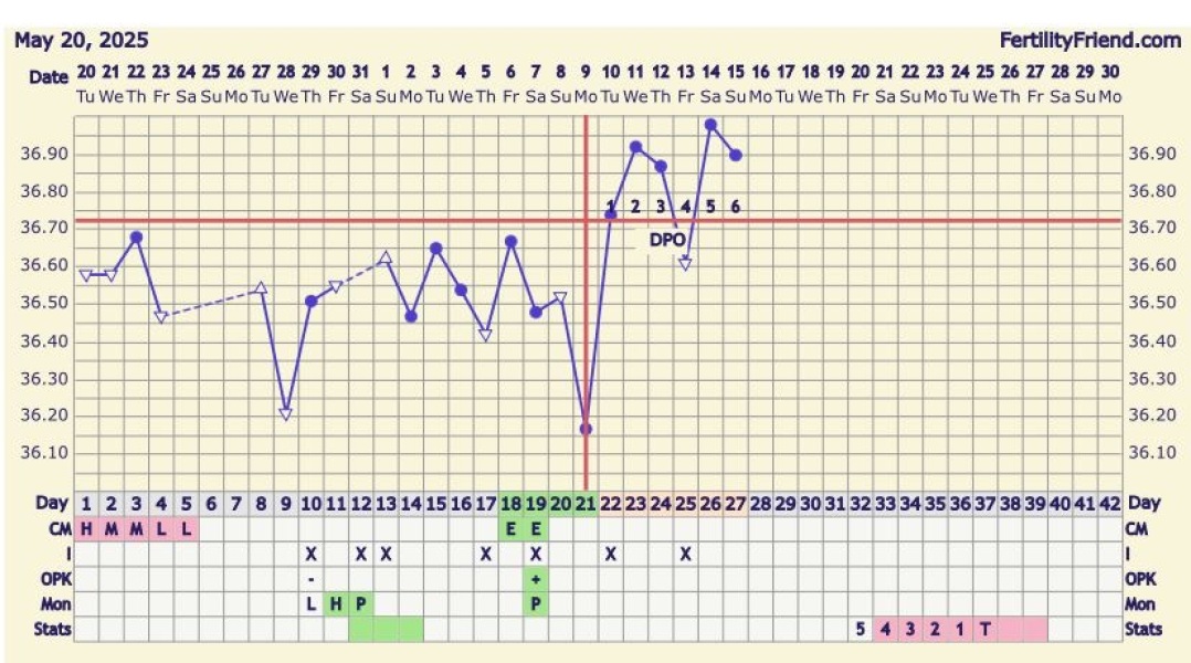 At least we avoided Christmas babies!