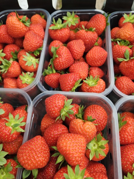 Vile tasting strawberries, can they be salvaged?