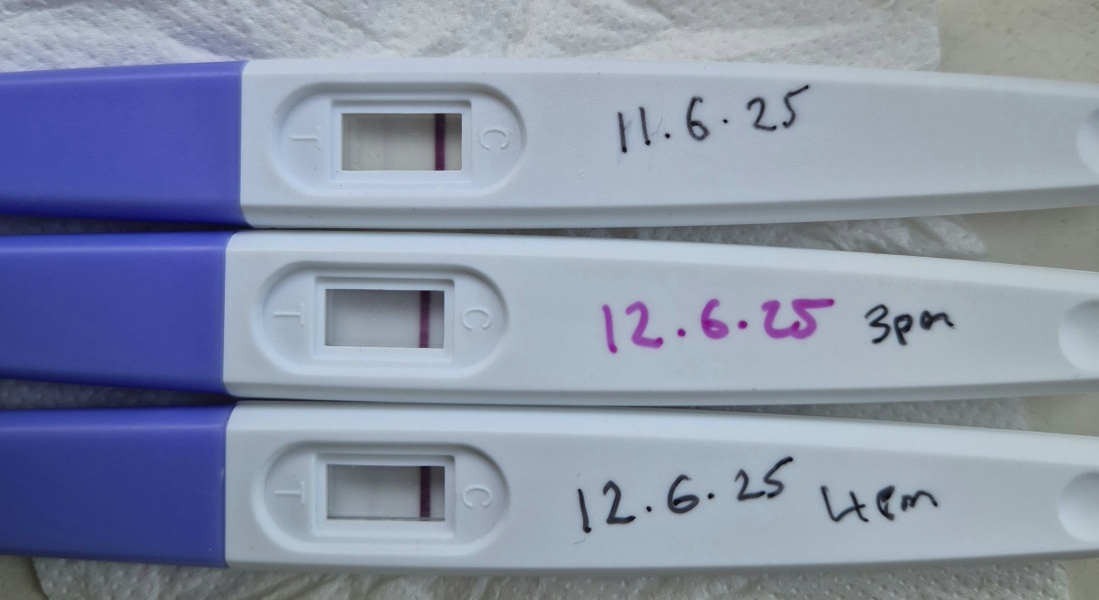 Me again confused again .. kind advise or stories