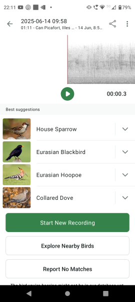 Merlin App Appreciation plus General Birding Chat