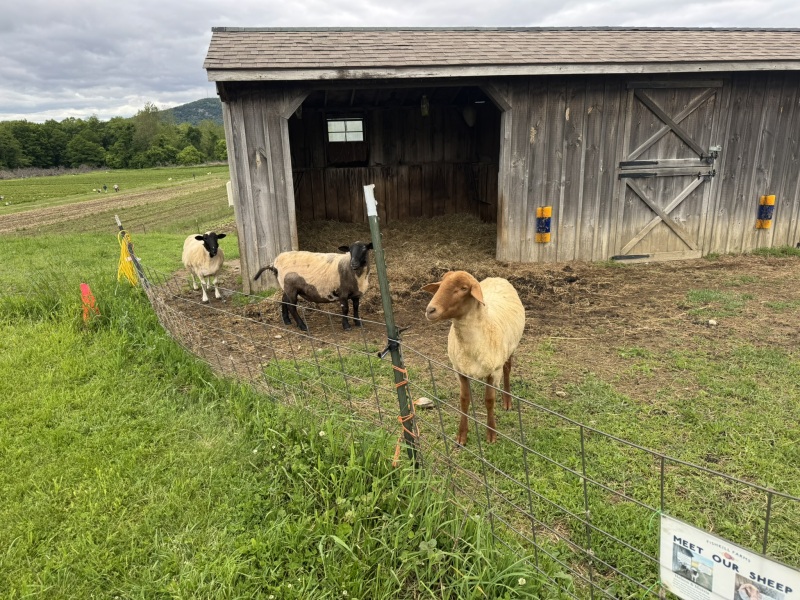 Come and tell us your dull and unexciting news 33: Calmly through the day