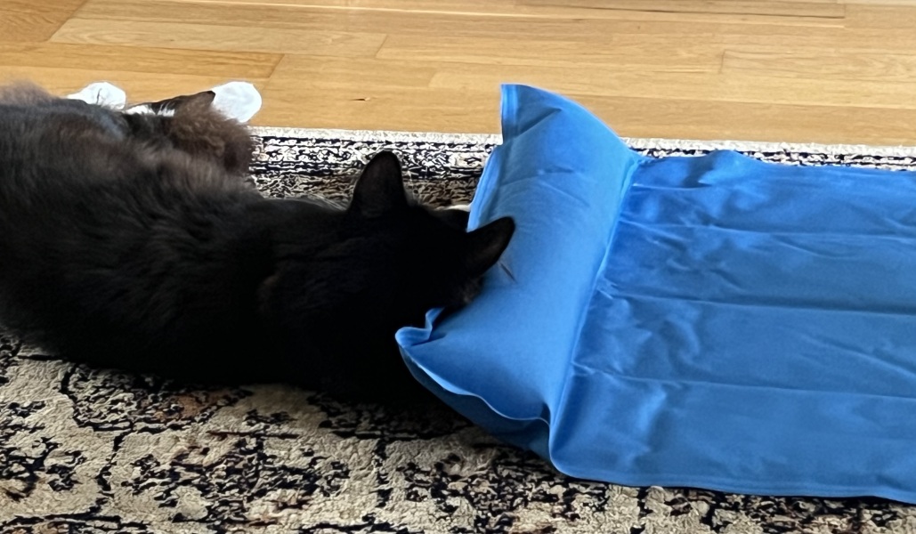 Any thoughts on cooling mats for cats ?
