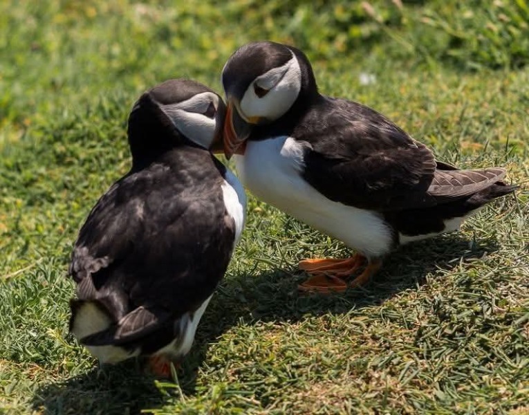 The Bluestocking Women’s Pub - Where Everybody Knows Your Username