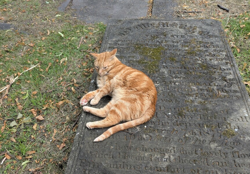 The One after the One where the Excellent Cats posed for a calendar